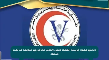 «تحذير مهم» خربشة القطط وعض الكلاب مخاطر غير متوقعة قد تهدد صحتك
